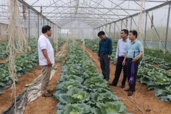 Nghệ An: Hiệu quả cao từ những cách làm mới, hướng đi mới
