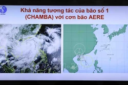 Công điện của Thủ tướng Chính phủ yêu cầu tập trung ứng phó bão số 1 và mưa lũ