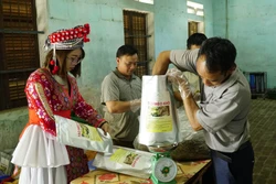 Xây dựng thương hiệu cho nông sản: Nâng cao sức cạnh tranh của sản phẩm