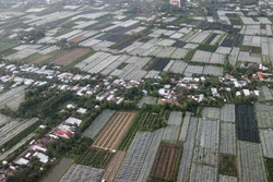 Ban hành Hệ thống chỉ tiêu thống kê cấp tỉnh, cấp huyện, cấp xã