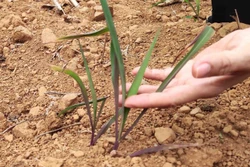 Giải pháp cho tình trạng thiếu nước ở Lục Khu (Cao Bằng)