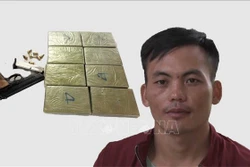 Bắt đối tượng Sùng Sái Lử vận chuyển trái phép 8 bánh heroin