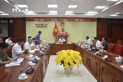 Cấp bách triển khai phòng, chống bệnh dại tại Đắk Lắk