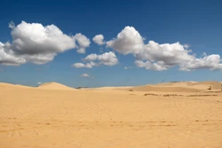 Quy hoạch, sử dụng hiệu quả điểm du lịch Bàu Trắng và đồi cát bay Mũi Né