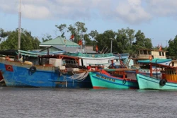 Ngư dân Bạc Liêu gặp khó vụ khai thác hải sản cuối năm