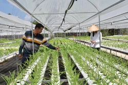 Đồng Tháp nâng cao giá trị sản phẩm từ sản xuất nông nghiệp hữu cơ