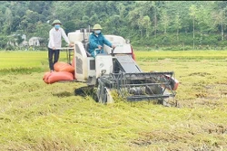 Lai Châu đẩy mạnh cơ giới hóa để phát triển nông nghiệp hàng hóa