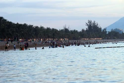 Ninh Thuận đẩy nhanh phục hồi, tăng tốc phát triển du lịch