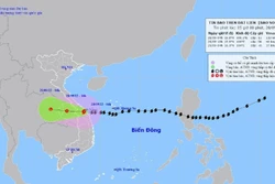Bão số 4 gây nhiều thiệt hại về tài sản tại huyện đảo Lý Sơn