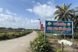 Xây dựng nông thôn mới đi vào chiều sâu, thực chất
