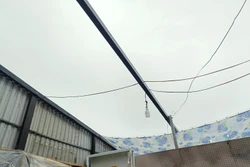 Bạc Liêu: Mưa lớn kèm theo lốc xoáy làm sập và tốc mái hàng chục căn nhà
