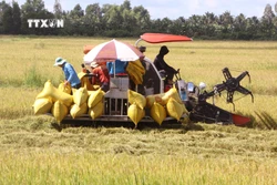 Sóc Trăng: Nâng chất cho hợp tác xã nông nghiệp