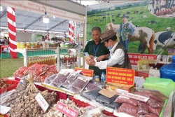 Hà Nội kết nối tiêu thụ sản phẩm làng nghề, thủ công và sản phẩm OCOP