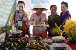 Nhiều điểm du lịch ở Cà Mau thu hút khách du lịch dịp Giỗ Tổ Hùng Vương