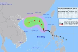 Bão số 7 di chuyển chậm, hướng lên phía Bắc