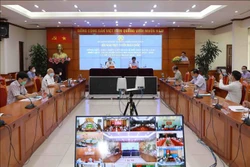 Hướng chăn nuôi nông hộ tới sản xuất hàng hóa và an toàn sinh học