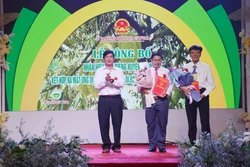 Đắk Lắk công bố nhãn hiệu tập thể Sầu riêng Cư M’Gar