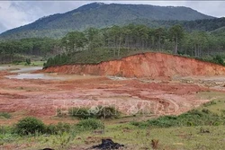 Tăng cường hệ sinh thái, cải thiện sinh kế cho nhóm người dân tộc thiểu số và phụ nữ tại Lâm Đồng