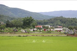 Điện Biên chấn chỉnh tình trạng chiếm dụng đất, xây mộ giả tại Nghĩa trang trung tâm Noong Hẹt