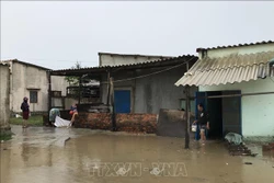 Bão số 9: Hàng chục nhà dân tại Phú Yên bị tốc mái, mất điện diện rộng