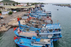 Ngư dân Ninh Thuận hối hả đưa thuyền vào bờ tránh bão số 4