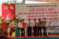 Trao Bằng công nhận Cẩm Sơn đạt chuẩn xã nông thôn mới kiểu mẫu. Ảnh: Minh Trí - TTXVN