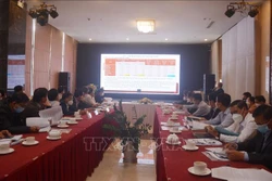 Hơn 49.000 ha đạt đủ các tiêu chí của quy trình sản xuất cà phê bền vững