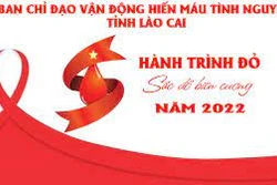 Lào Cai tiếp nhận hơn 900 đơn vị máu tại Ngày hội hiến máu "Sắc đỏ biên cương" lần thứ IV