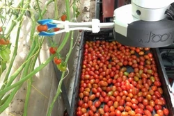 Nhật Bản chế tạo robot sử dụng trí tuệ nhân tạo để thu hoạch trái cây