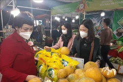 Khai mạc Tuần hàng OCOP và trái cây, nông sản các tỉnh, thành phố năm 2021