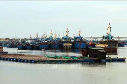 Ứng phó với bão số 9: Ninh Thuận khẩn trương rà soát phương án sơ tán dân; yêu cầu các hồ đập thông báo trước ít nhất 6 tiếng trước khi xả lũ