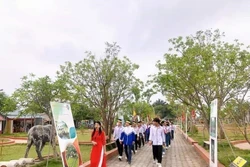 Độc đáo Chương trình giáo dục “Thành Nhà Hồ - Di sản cho mai sau”