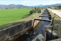 Tìm giải pháp nâng cao giá trị lúa gạo Đắk Lắk
