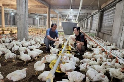 Ông Lê Văn Quyết đi đầu trong chăn nuôi công nghệ cao