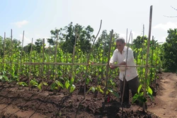 Kon Tum tôn vinh hai cá nhân hiến đất làm đường