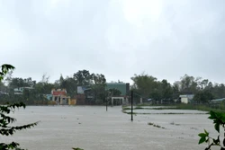 Đà Nẵng: Mưa lớn gây ngập úng cục bộ, nhiều trường cho học sinh nghỉ học