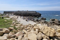 Khu dự trữ sinh quyển Núi Chúa, Ninh Thuận - điểm đến hấp dẫn du khách