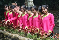 Tổ chức Liên hoan trình diễn trang phục truyền thống các dân tộc thiểu số Việt Nam 
