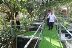 Du lịch Nam Bộ chắt chiu từng cơ hội phục hồi (Bài 1)