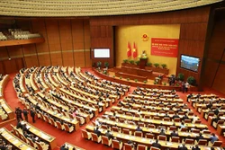 Hội nghị trực tuyến toàn quốc nghiên cứu, học tập, quán triệt, tuyên truyền Nghị quyết Đại hội XIII của Đảng