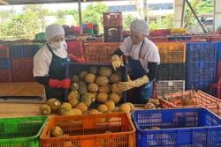 Gia Lai kiến nghị cơ chế, chính sách thúc đẩy phát triển, liên kết vùng
