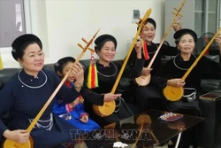 Người “giữ lửa” nghệ thuật hát Then, đàn Tính Hoàng Kim Tuế