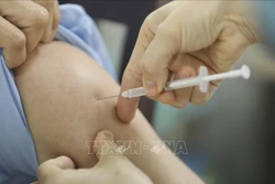Sáng 1/4 không ghi nhận ca mắc COVID-19