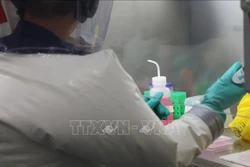 Nghiên cứu mới chứng minh được hiệu quả của thuốc alpha-ketoamide 13b trong điều trị COVID-19
