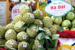 Khai mạc Lễ hội "Võ Nhai mùa na chín"