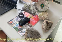 Lai Châu: Bắt giữ đối tượng mua bán trái phép 1kg thuốc phiện