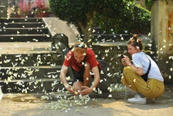 Phát triển du lịch sinh thái, bền vững ở Vườn Quốc gia Cúc Phương