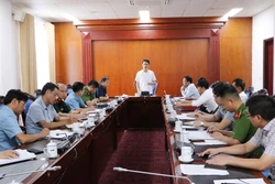 Vụ "Vàng tặc" lộng hành tàn phá những cánh rừng ở Lai Châu: Đánh sập hầm để chấm dứt hoạt động