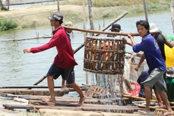 Đồng Tháp đưa sản phẩm cá tra vươn xa