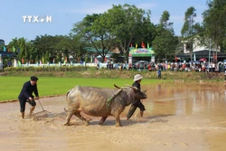 Gìn giữ lễ hội văn hóa Tây Bắc trên quê hương Lâm Đồng